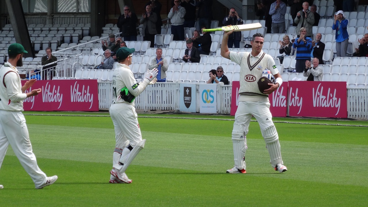 cricket-2629178_1280