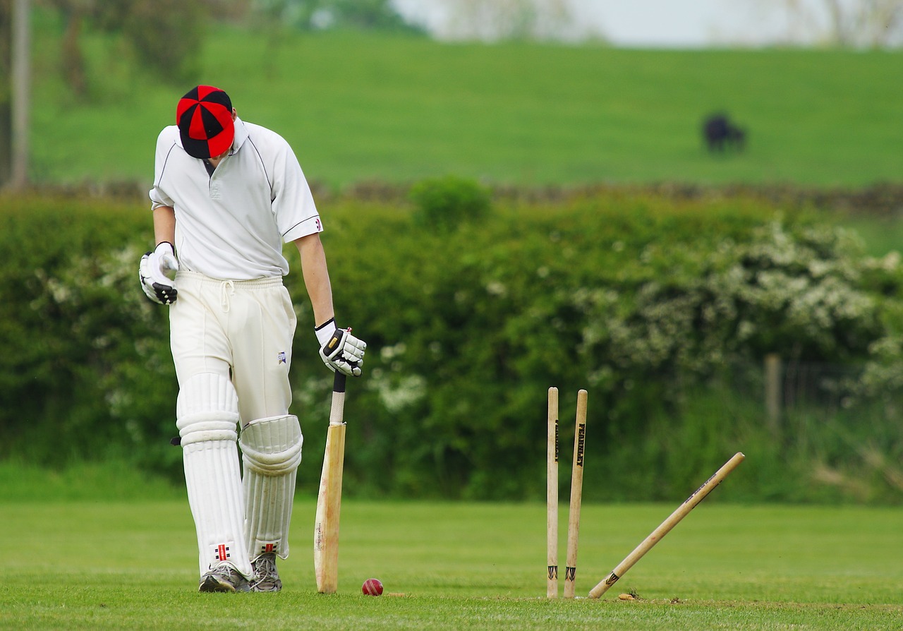 cricket-724616_1280