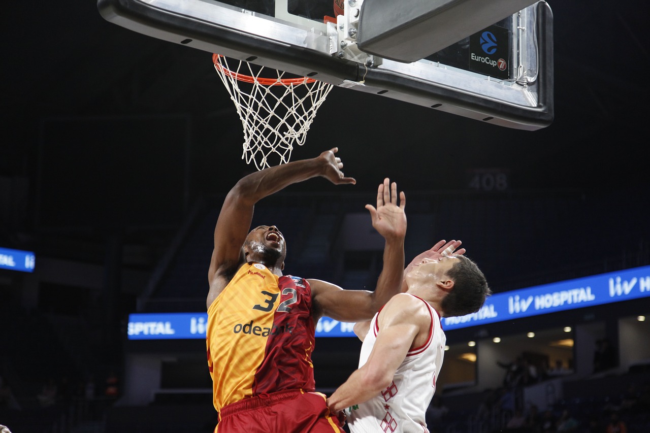 galatasaray-2845588_1280